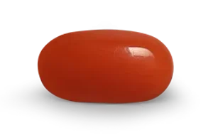 Red Coral (Moonga Stone)