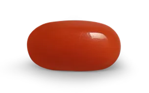 Red Coral (Moonga Stone)