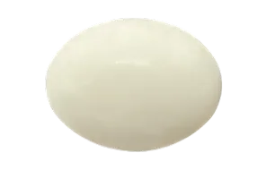 White Coral